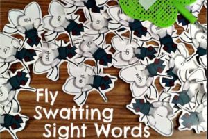 Game Sight Words Fly Swat