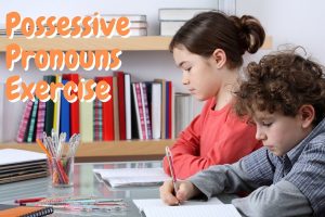 Possessive Pronouns Exercise