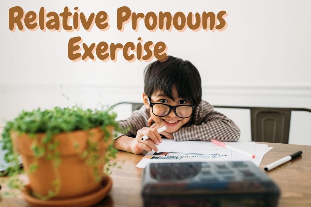 Relative Pronouns Exercise