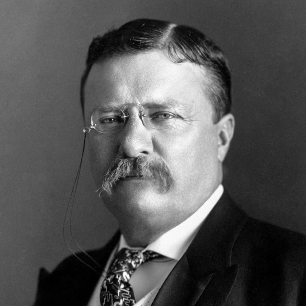 Tổng Thống Hoa Kỳ - Theodore Roosevelt