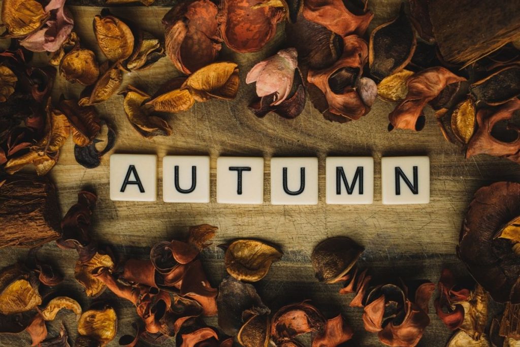 autumn