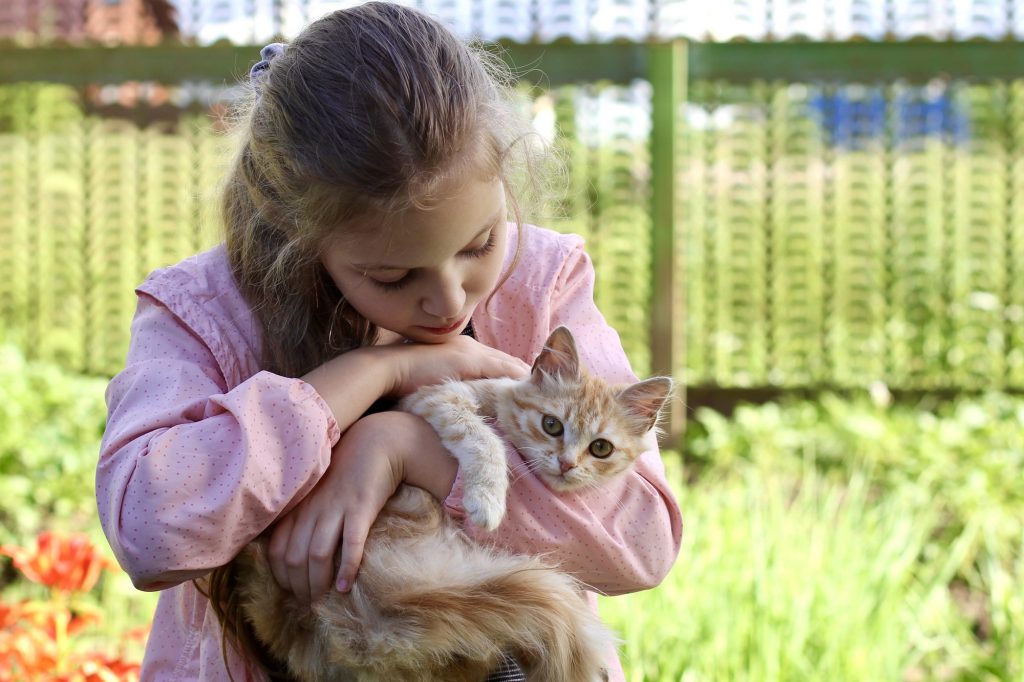 A little cute girl walking with her favorite fluffy red cat. Best friends.