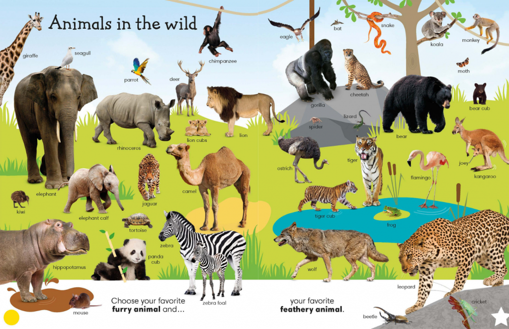 animals-in-the-wild